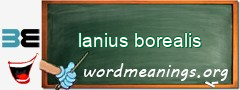 WordMeaning blackboard for lanius borealis